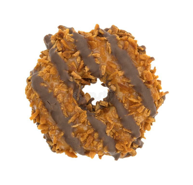 Fudge coconut caramel cookie royalty free stock photo Fudge coconut caramel cookie royalty free stock photo