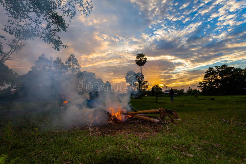 fuego de la quemadura del granjero para hacer que el humo para protege su búfalo foto de archivo fuego de la quemadura del granjero para hacer que el humo para protege su búfalo foto de archivo