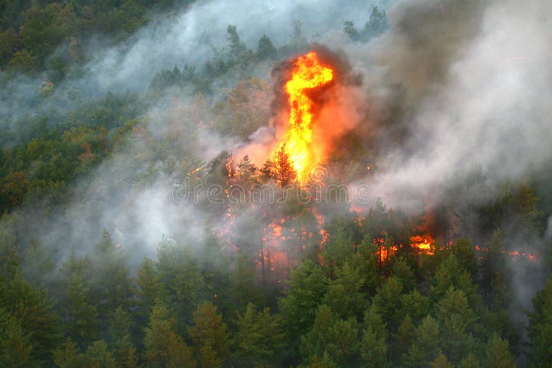 Fuego en el bosque del incendio fuera de control fotos de archivo libres de regalías Fuego en el bosque del incendio fuera de control fotos de archivo libres de regalías