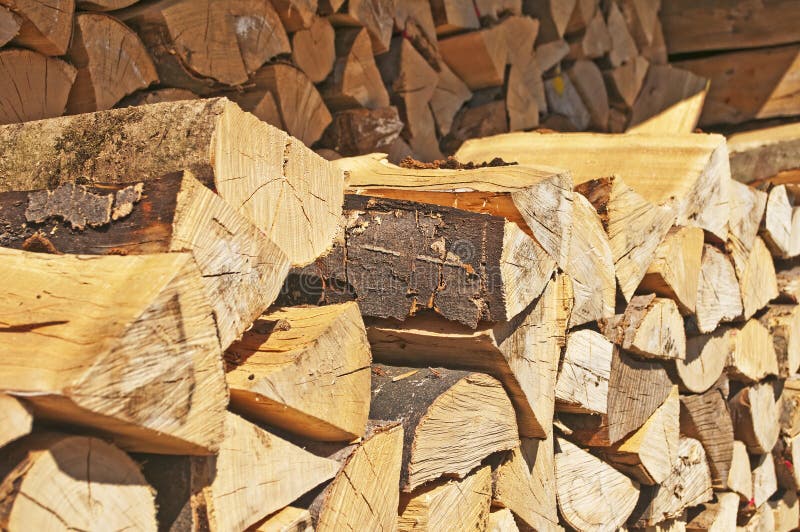 Fuelwood stock photo. Image of source, tree, fuelwood 39432166