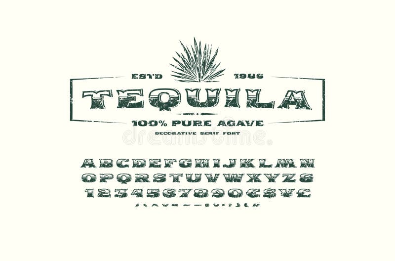 Fuente del trazo de pie y plantilla adornadas de la etiqueta para el tequila libre illustration Fuente del trazo de pie y plantilla adornadas de la etiqueta para el tequila libre illustration