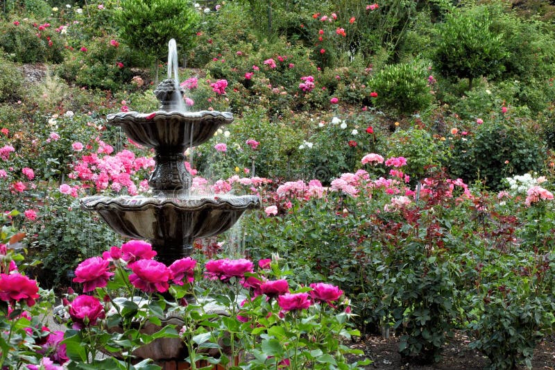 The fountain in the International Rose Test Garden located in Portland Oregon. The fountain in the International Rose Test Garden located in Portland Oregon