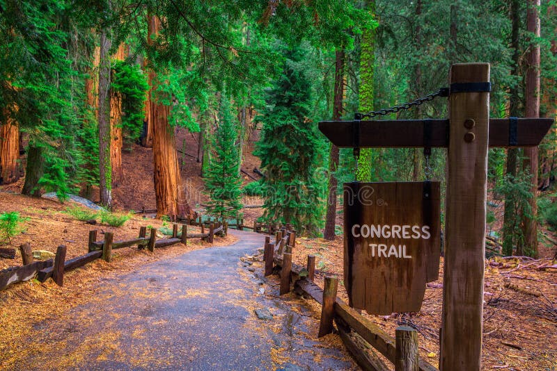 A fuga do congresso assina dentro o parque nacional de sequoia