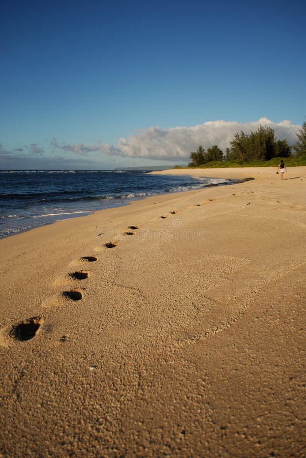 Rasto na areia fotografia de stock