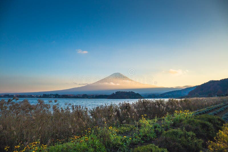 fuji montering royaltyfria foton fuji montering royaltyfria foton