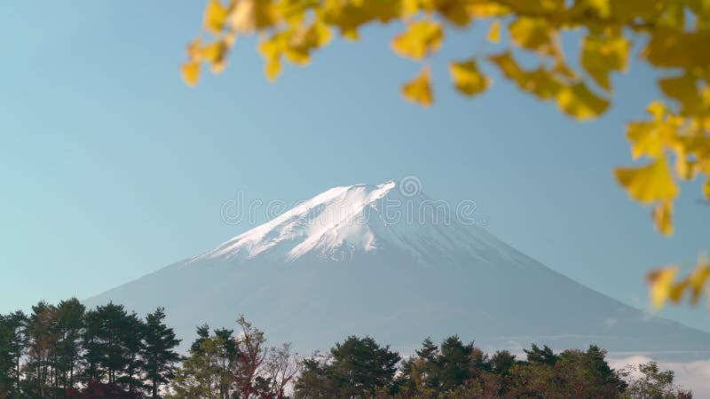 Fuji mountain peak with partial autumn leaves in frame plus gentle zoom out. Can be sped up for more drama.