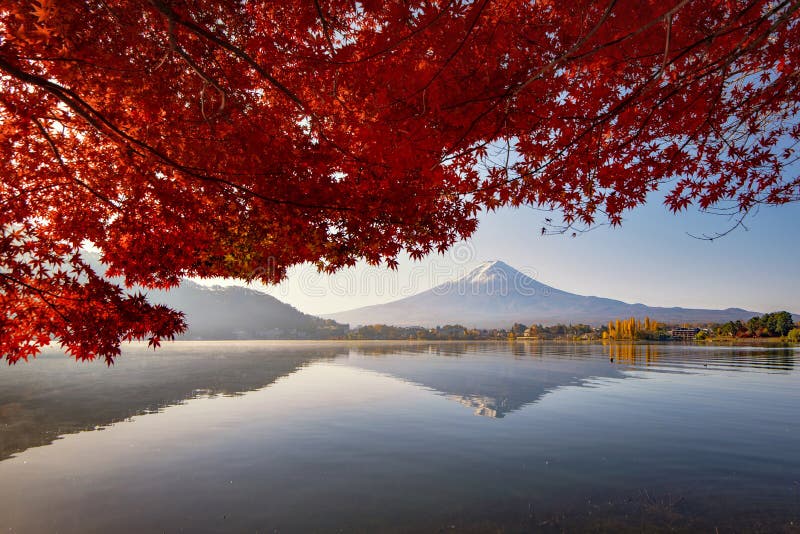 Fuji Mountain Reflection And Red Maple Leaves With Morning Mist In