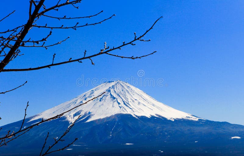 Fuji San in de winter, Japan royalty-vrije stock foto Fuji San in de winter, Japan royalty-vrije stock foto