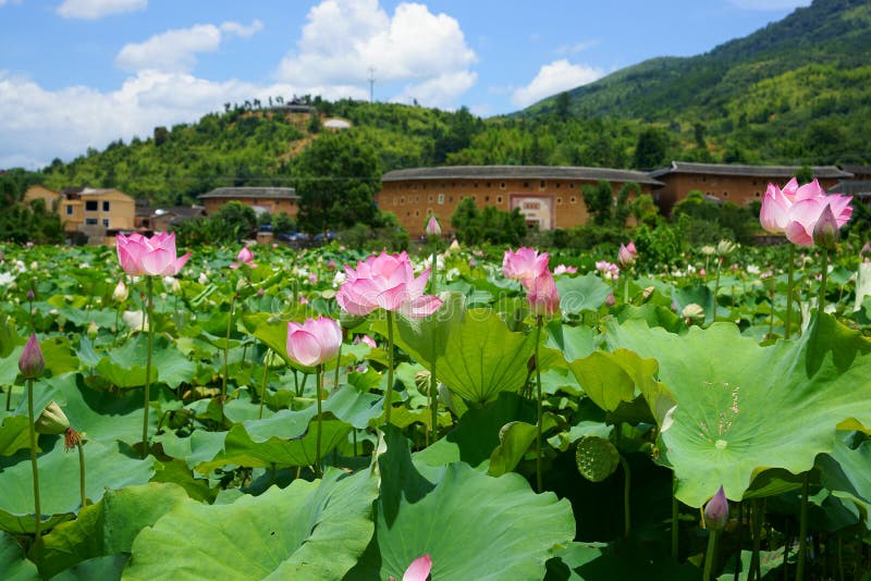 Fujian Tulou