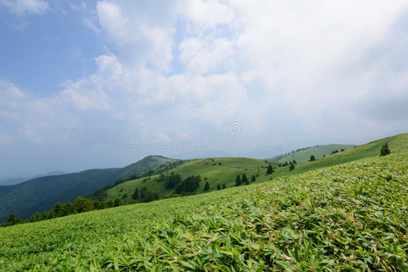 Fujimidai Highland se nachází na jižním cípu centrální Alpy přes Achi vesnici v Prefektuře Nagano a Nakatsugawa město v Prefektuře Gifu.