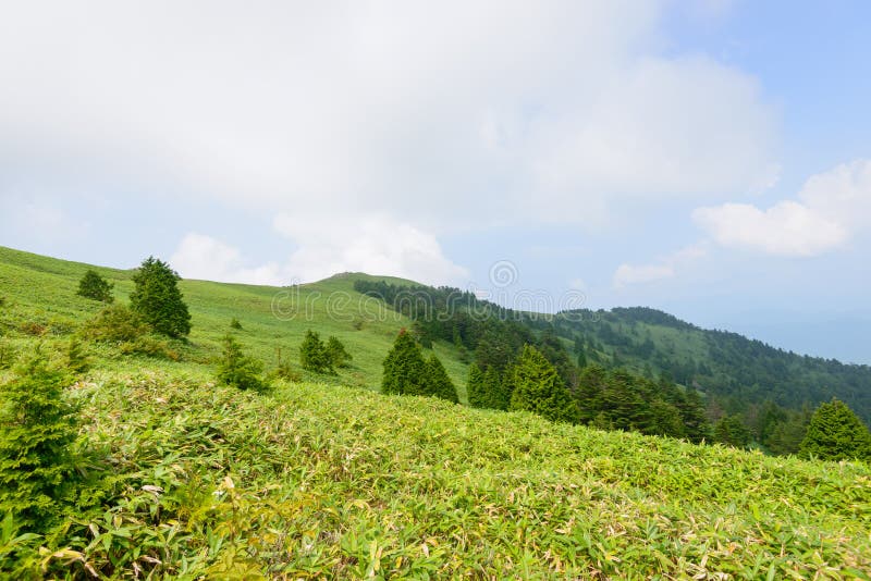 Fujimidai Highland sa nachádza v južnom cípe centrálnych Álp cez Achi obce v Prefektúre Nagano a Nakatsugawa v meste Gifu Prefektúra.