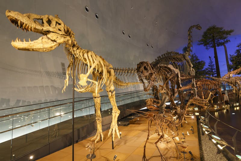 Präfekturales Dinosauriermuseum Fukui stockfotografie