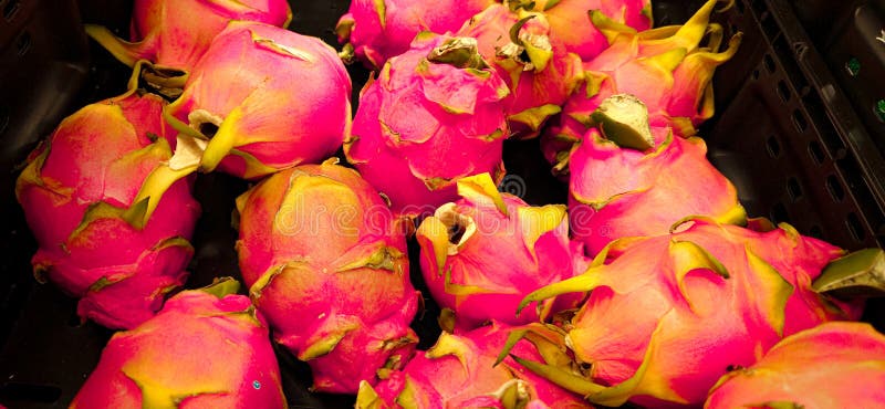 Full bildruta, rosa fet dragon frukt texture konstnärlig textur bakgrund arkivbild