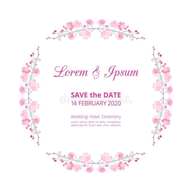 Full bloom pink sakura flower wedding card template circle, Cherry blossom floral vintage invitation frame isolated on white round background. Japan spring flora wreath curl border element. Full bloom pink sakura flower wedding card template circle, Cherry blossom floral vintage invitation frame isolated on white round background. Japan spring flora wreath curl border element.