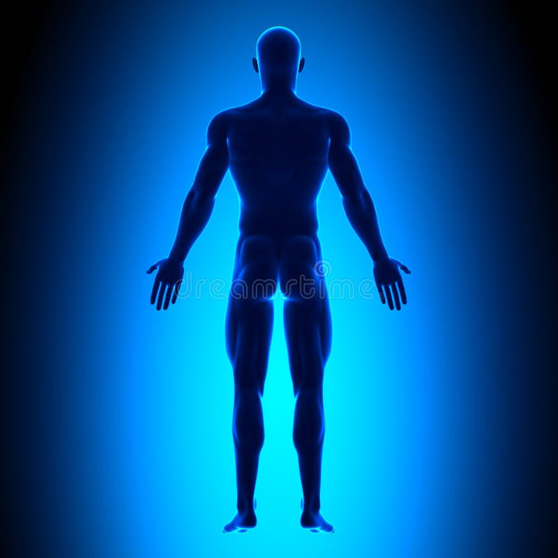 Full Body - Back View - Blue concept stock illustration