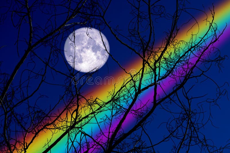 Full Buck Moon back on silhouette dry branch tree on night sky and rainbow