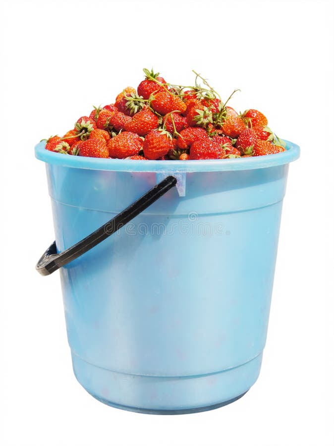 Full bucket of strawberry stock image. Image of tasty 22406303