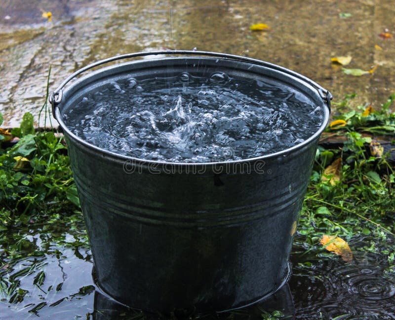 7,891 Bucket Full Water Royalty-Free Images, Stock Photos & Pictures