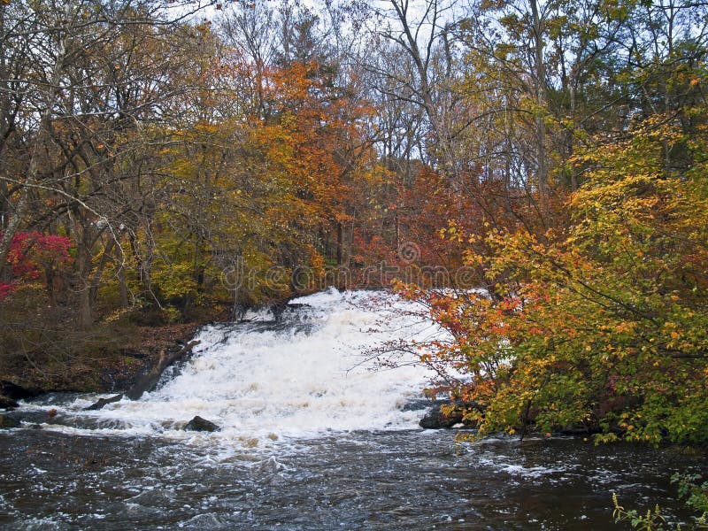 A full running stream passes through the Autumn woods in the Pocono Mountains of Pennsylvania. A full running stream passes through the Autumn woods in the Pocono Mountains of Pennsylvania.