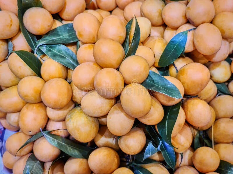Full Frame Background of Pile of Orange Marian Plum Fruits stock image