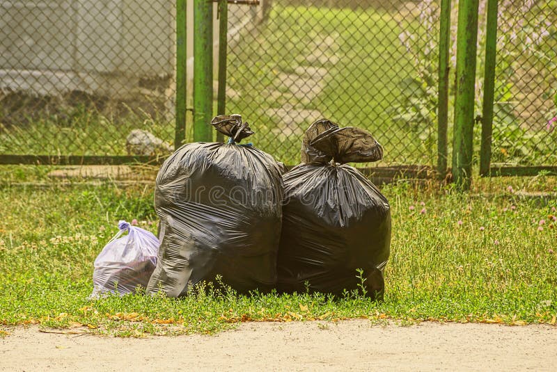 Closed Garbage Bags with Garbage on the Lawn Stock Photo Image of