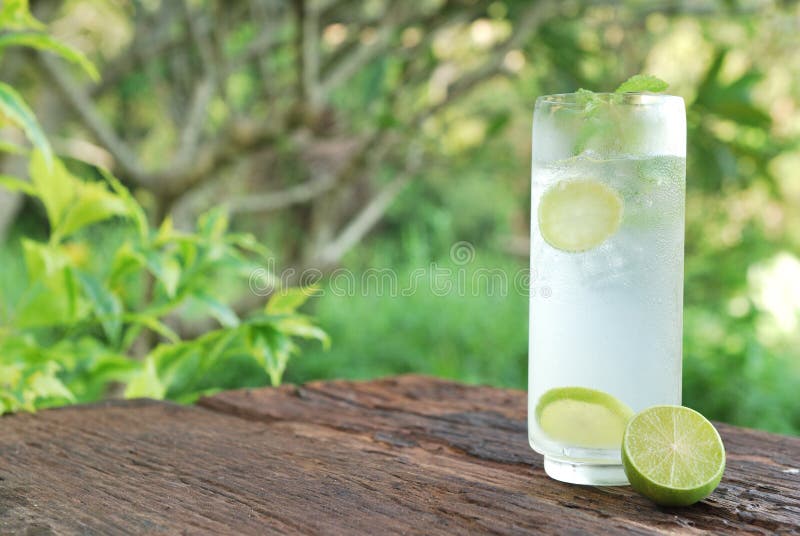 Full glass of fresh cool tonic with lime fruits isolated on wood table