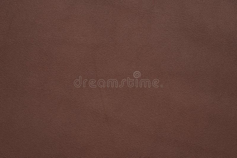 Full Grain Brown Leather Texture Background Stock Image Image of