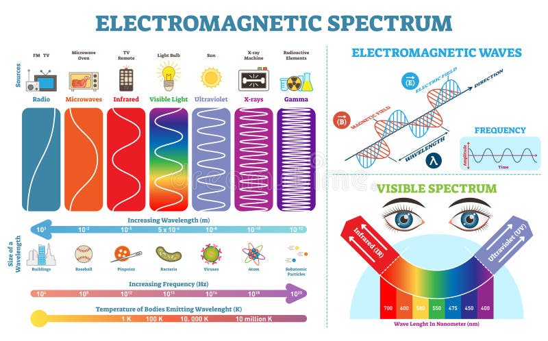 Full informationssamling om elektromagnetiskt spektrum, vektorillustrationdiagram Infographic beståndsdelar för fysik