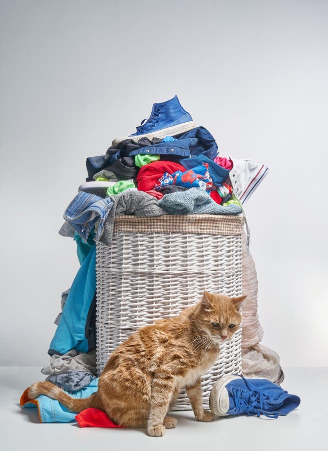 Full laundry basket stock image. Image of clean, basket 125022721