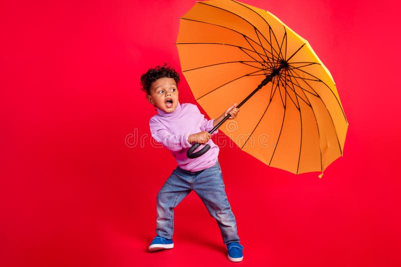levend Trechter webspin Wijzigingen van Full Length Body Size View of Attractive Cheerful Schoolkid Holding Parasol  Having Fun Over Bright Red Color Stock Photo - Image of childhood, fall:  227587590
