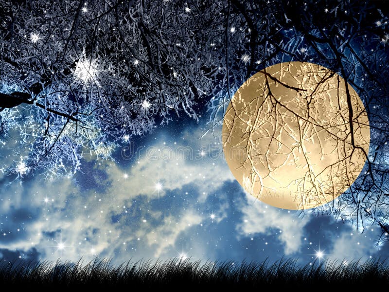 Full moon vector illustration
