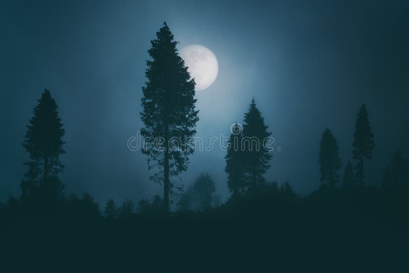 Full moon on dark spooky forest at night