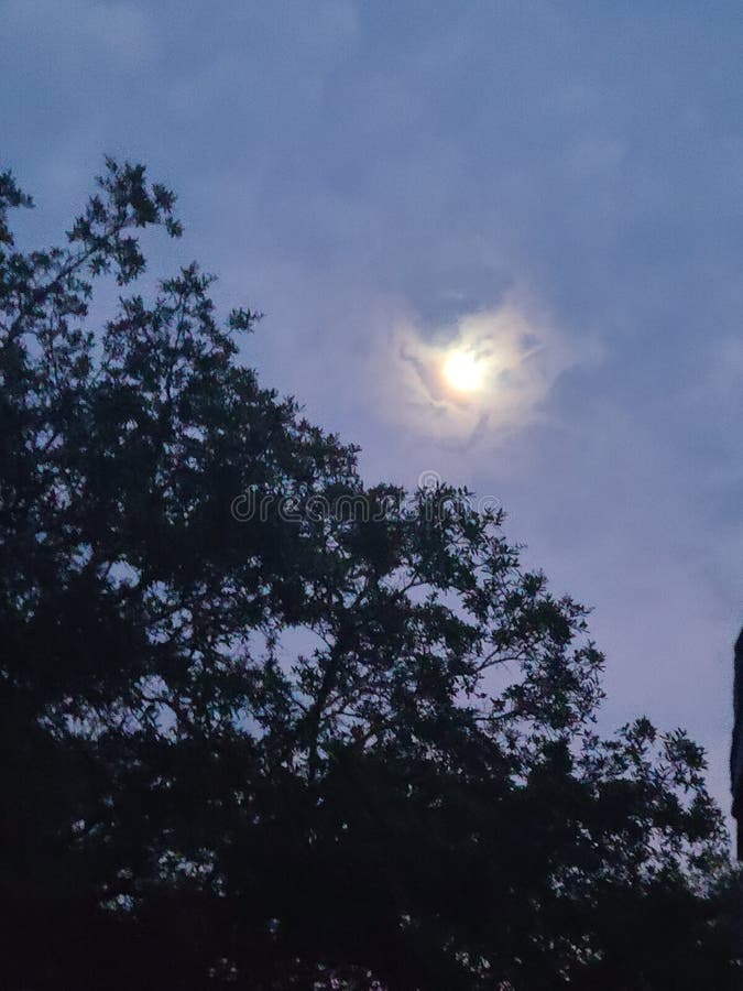 Full Moon in Florida stock image. Image of blue, dusk 251379809