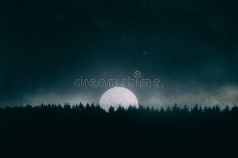 Full moon on the forest at night stock image