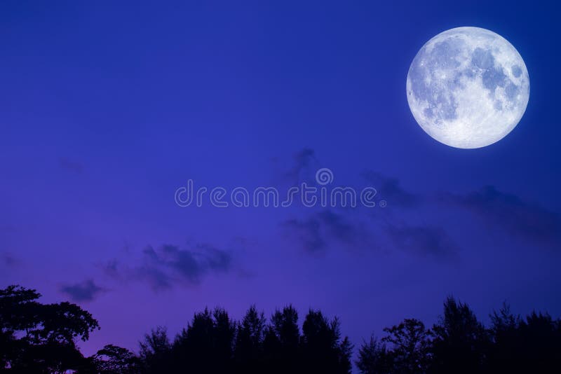 Full Moon Night Forest Landscape Background