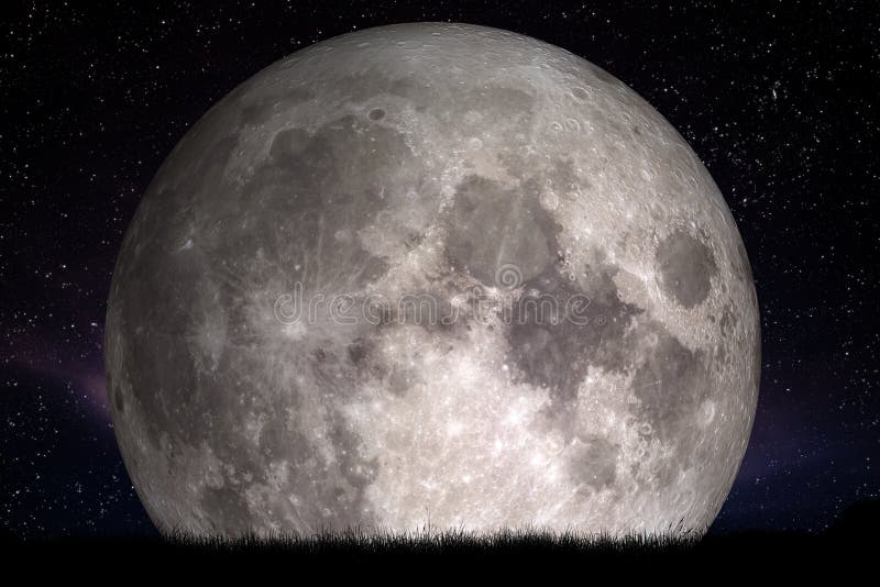 Full moon at night. Grass in the foreground. Perfect for background, copy-space stock images Full moon at night. Grass in the foreground. Perfect for background, copy-space stock images