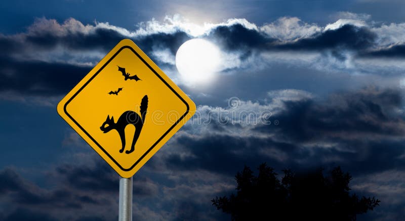 Full Moon in the Night Sky and Halloween Road Sign - Cat, Bats