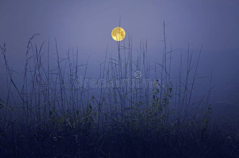 Full Moon Over the Valley and Grass Stock Image Image of grass