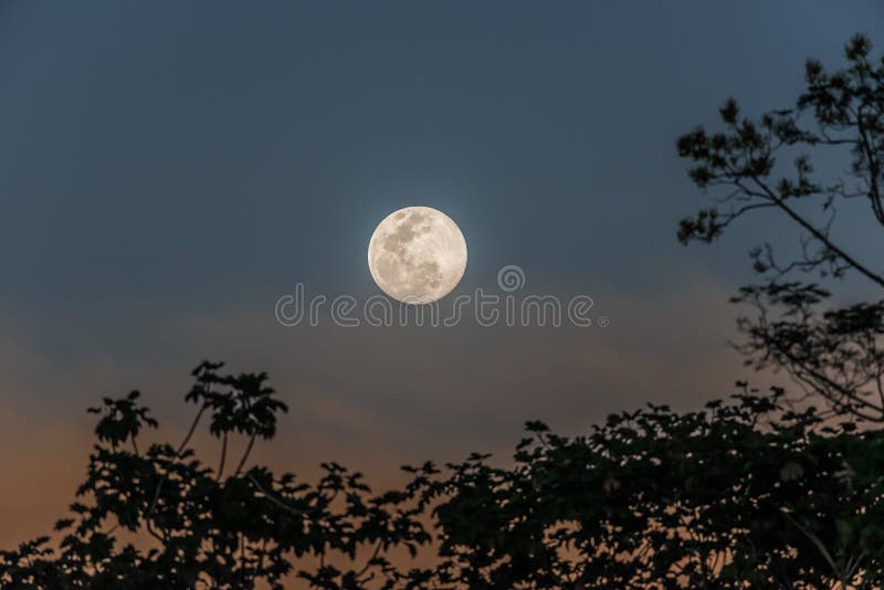 Luna llena en peruano Amazonas la jungla sobre el.