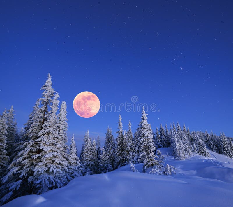 Full moon in winter