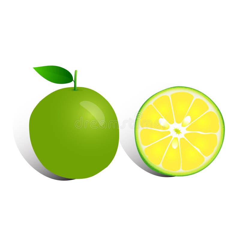 Full och halv citron på vit bakgrund royaltyfri illustrationer