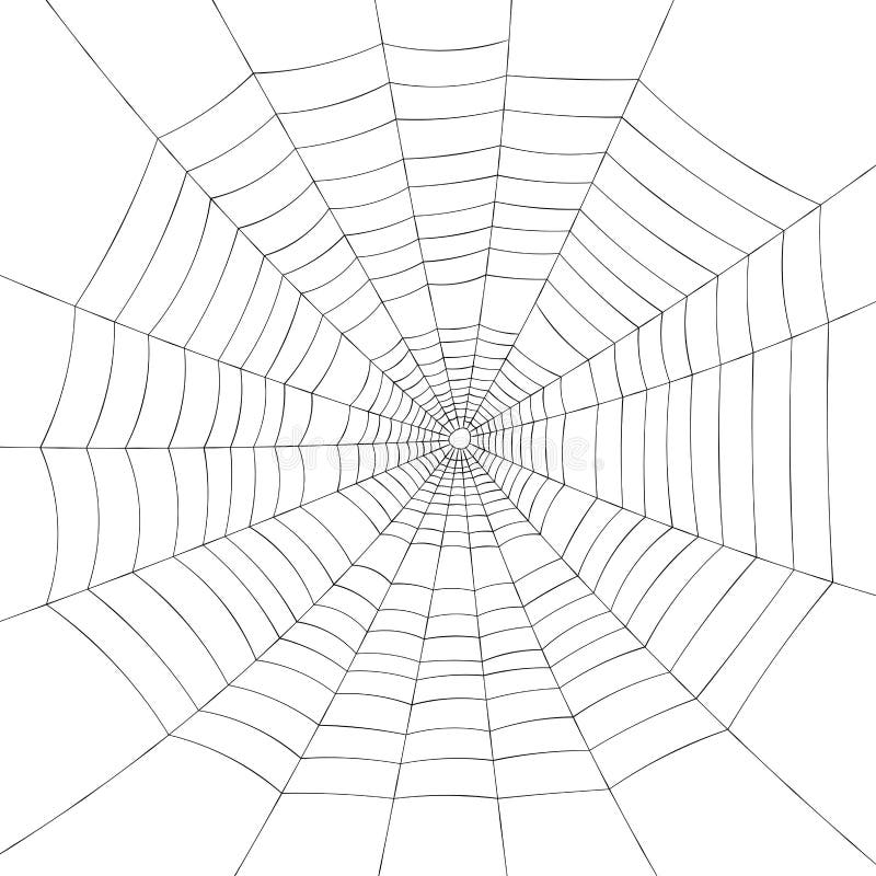 Full Screen Black Spiderweb on White Background Stock Vector - Illustration  of arachnopfobia, background: 192552511