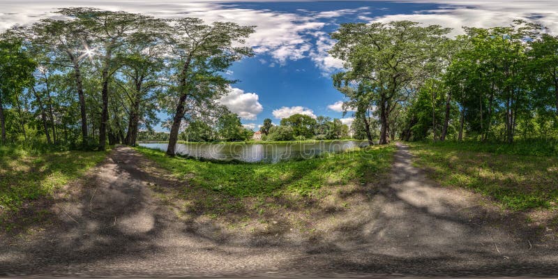 Full seamless spherical hdri panorama 360 degrees angle view among old poplar grove in forest near lake in sunny day in equirectangular projection, ready VR AR content