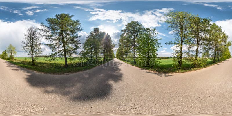 Full sfärisk sömlös panorama 360 grader vinkelsikt på ingen trafikasfaltväg bland gränden av lärkträd och fält med arkivfoto Full sfärisk sömlös panorama 360 grader vinkelsikt på ingen trafikasfaltväg bland gränden av lärkträd och fält med arkivfoto
