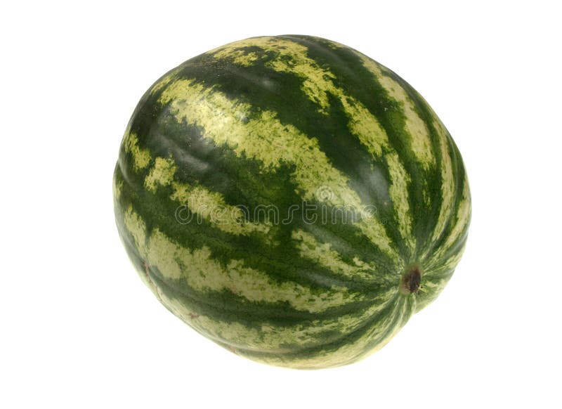 Full Single Striped Green Watermelon. Stock Image Image of background