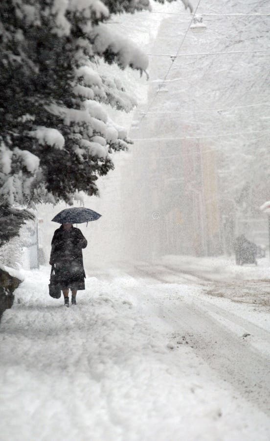 Full winter royalty free stock photos Full winter royalty free stock photos