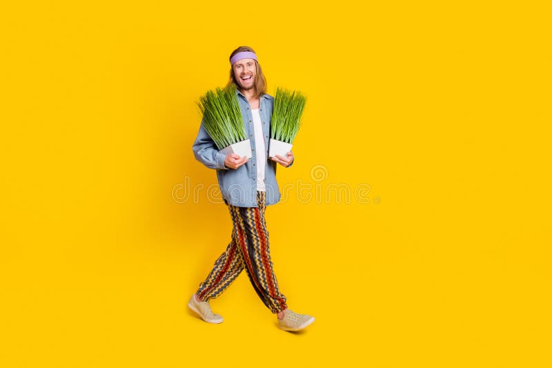 Full size profile photo of cool young man hold plants walk empty space wear denim shirt isolated on yellow color background. Full size profile photo of cool young man hold plants walk empty space wear denim shirt isolated on yellow color background.