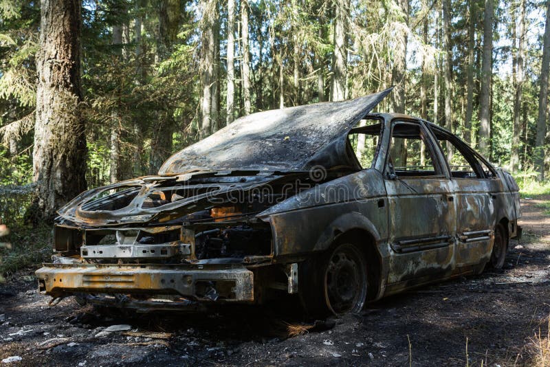 Fully Burned Car in the Forest in Summer Stock Image Image of burnt