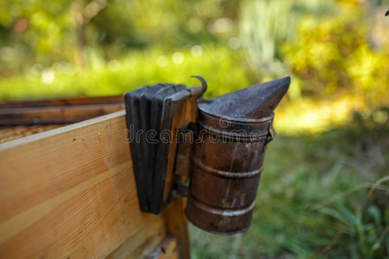 Fumador de la abeja instalado en behive de madera Tecnología de la fumigación de abejas Humo que intoxica para la producción segu fotos de archivo libres de regalías Fumador de la abeja instalado en behive de madera Tecnología de la fumigación de abejas Humo que intoxica para la producción segu fotos de archivo libres de regalías