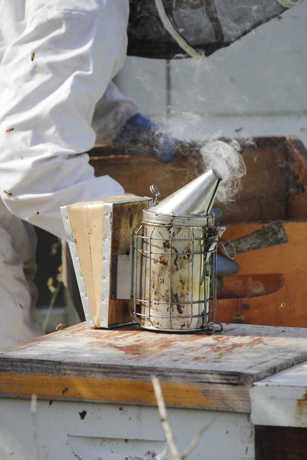 Fumeur ou Fogger d'abeille image stock Fumeur ou Fogger d'abeille image stock
